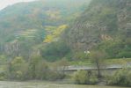 PICTURES/Wachau Valley - Cruising Along The Danube/t_P1170741.JPG